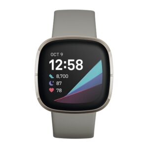 Relógio Inteligente Fitbit Cinza Titanium